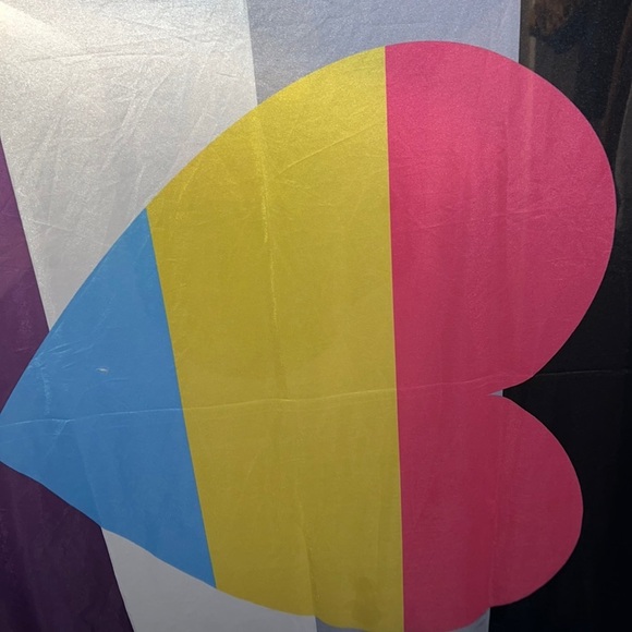 Asexual Ace Panromantic Pan Heart‎ Pride
Flag - Picture 3 of 5